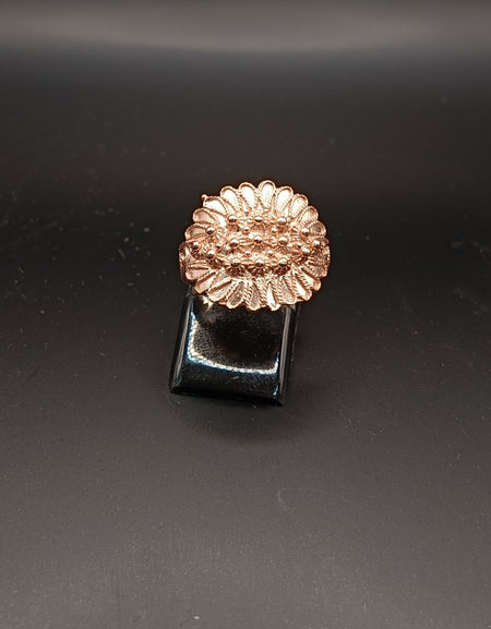 FIT 6573 Fede sarda Campidanese larga