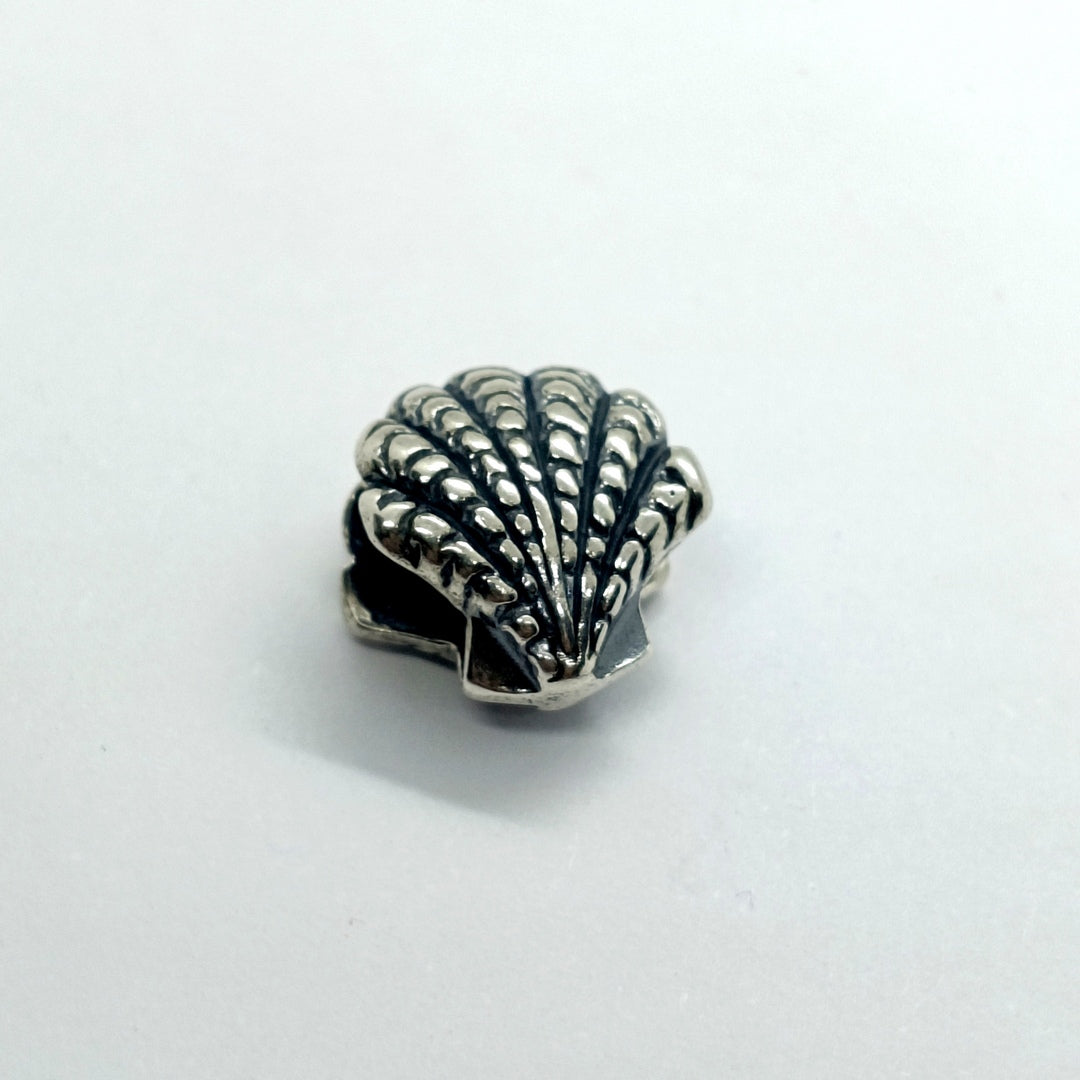 Charms Sinnus Conchiglia