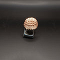 FIT 6573 Fede sarda Campidanese larga