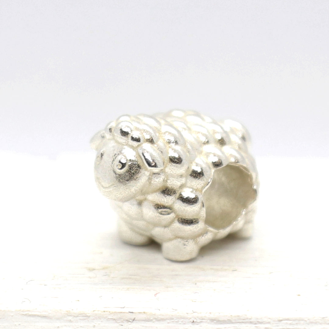 FIT-3413-52 Pecorella